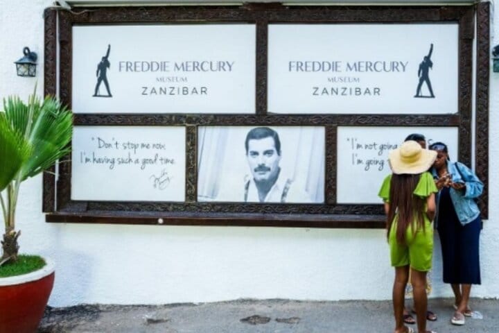 Swim with Sea Turtles at The Lagoons Zanzibar