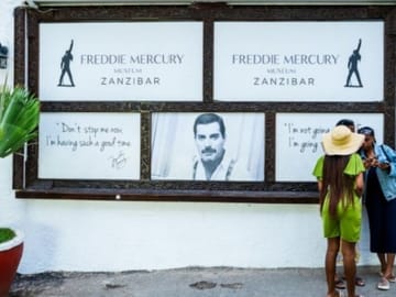 Zanzibar Cultural Tour and Turtle Conservation Experience