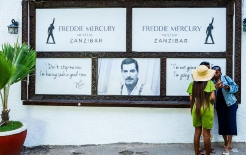 Zanzibar Cultural and Turtle Experience Tour