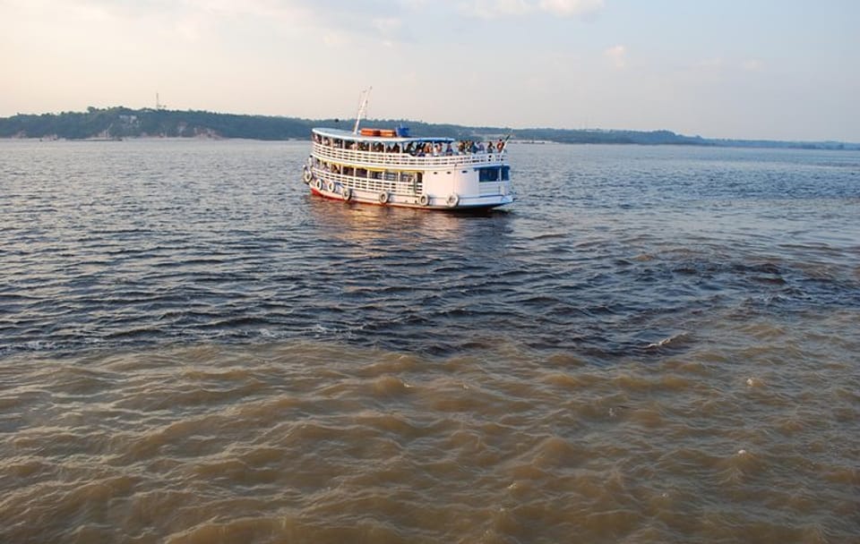 Amazon Dolphin And Meeting Of The Waters With Native Village Tour
