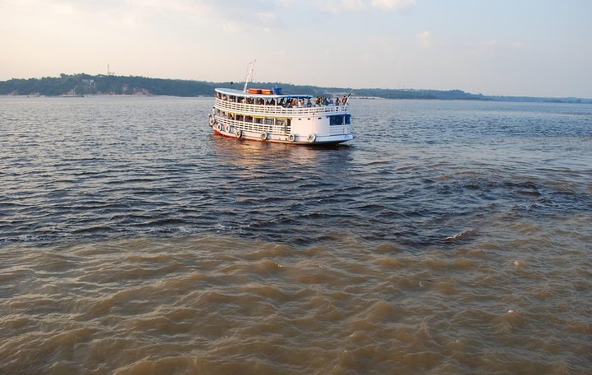 Amazon Dolphin And Meeting Of The Waters With Native Village Tour