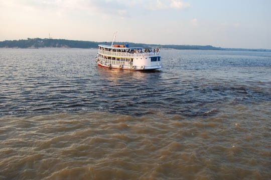 Amazon Dolphin And Meeting Of The Waters With Native Village Tour