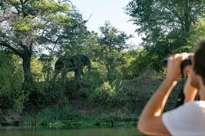 Zambezi Classic Sunset Cruise