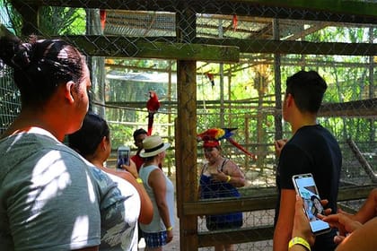 Roatan Sun & Fun Custom Private Island Tour