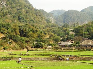 Mai Chau view