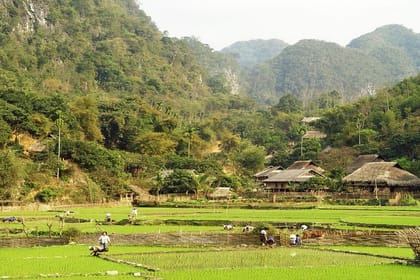 Hanoi – Mai chau Adventure 2 Days 1 Night sleep at bungalow -packaged tour