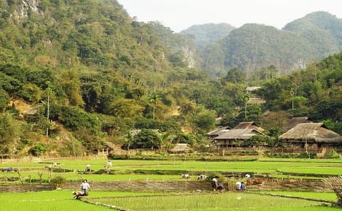 Hanoi to Mai Chau 2-Day Adventure with Bungalow Stay