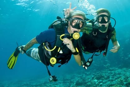 Roatan 1 Tank Shore Dive, Sloth & Monkey Park, City Tour plus Transportation