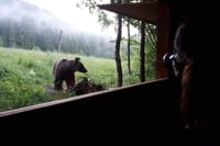 Gourmet tour with horse-drawn carriage & Optional Visit a Wildlife Observatory 6