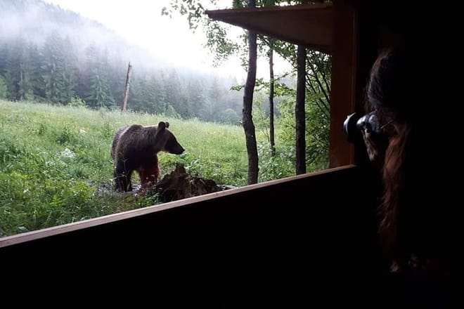 Gourmet tour with horse-drawn carriage & Optional Visit a Wildlife Observatory 6