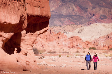 Hiking Tour of Quebrada De Las Conchas from Cafayate