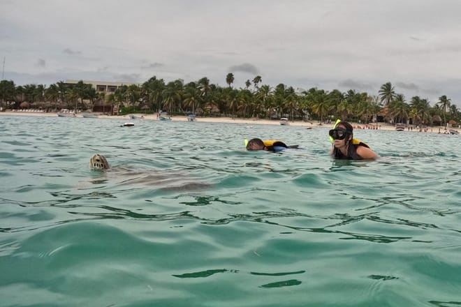 Santuario de tortugas Akumal Snorkel Experiencia marina