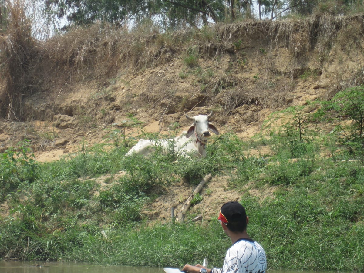 Chiang mai Suthep National Park Leisure Hiking & Mountain Biking