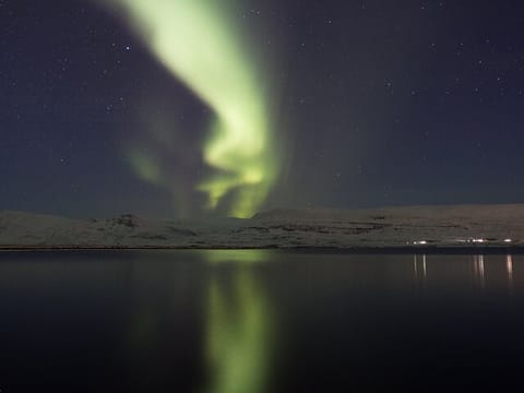 Northern Lights Classic Tour from Akureyri, photo 5