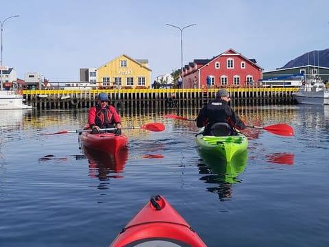 Guided kayak tour in Siglufjörður / Siglufjordur., photo 3