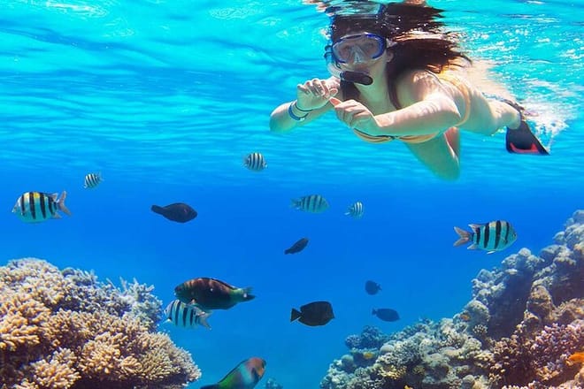 Tiran Island Full Day Snorkeling Sea trip, Lunch With Transfer - Sharm El Sheikh