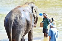 2 Days 1 Night Pai + Elephant Sanctuary Private Tour 8