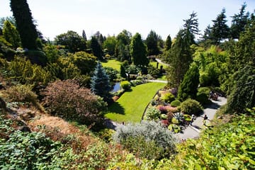 Vancouver Day Tour: Explore Unique Highlights in Comfort