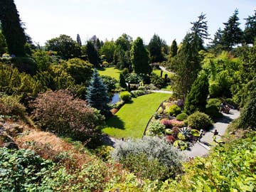 Vancouver Day Tour: Explore Unique Highlights in Comfort