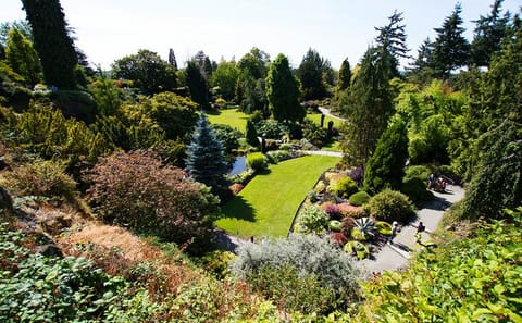 Vancouver Day Tour: Explore Unique Highlights in Comfort