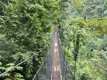 Rainmaker Park Hiking Tour near Parrita, Costa Rica