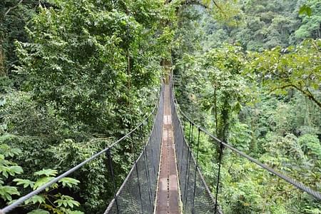 Rainmaker Park Adventure: Explore Costa Rica's Hidden Tropical Paradise