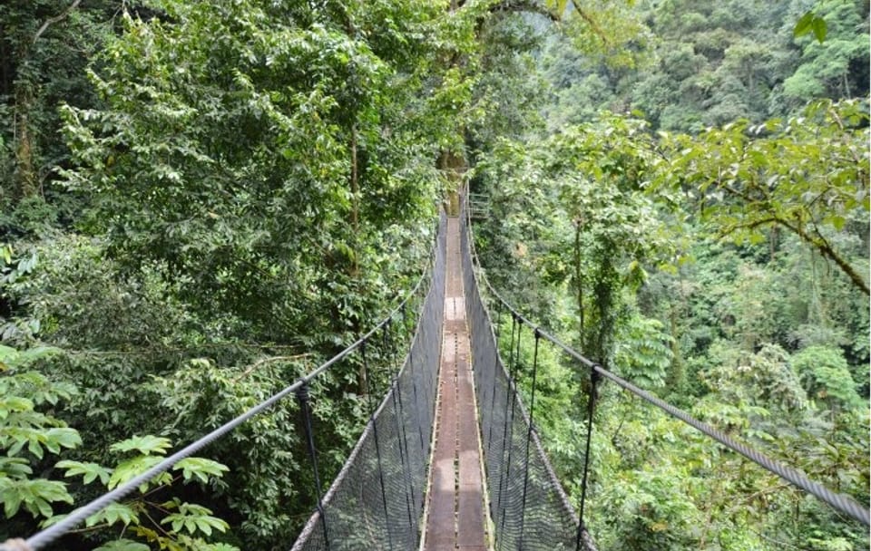Rainmaker Park Hiking Tour near Parrita, Costa Rica