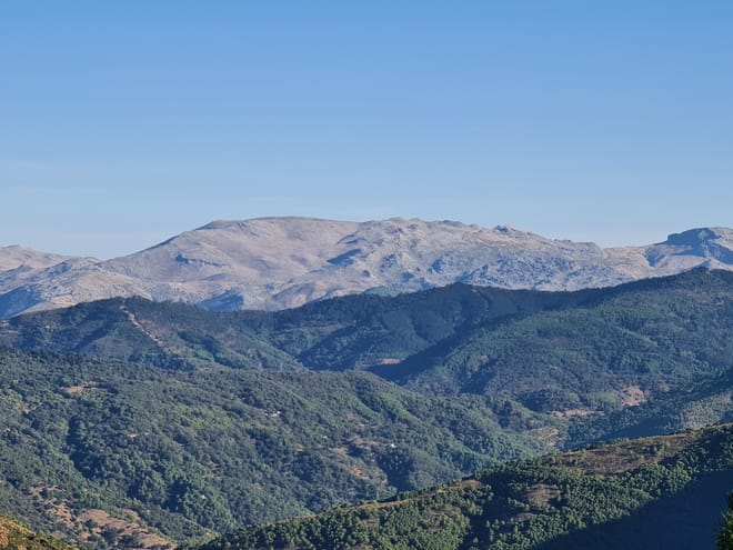 Private Hiking with transfer |  Bosque de Pinsapos "Sierra Bermeja" photo 5