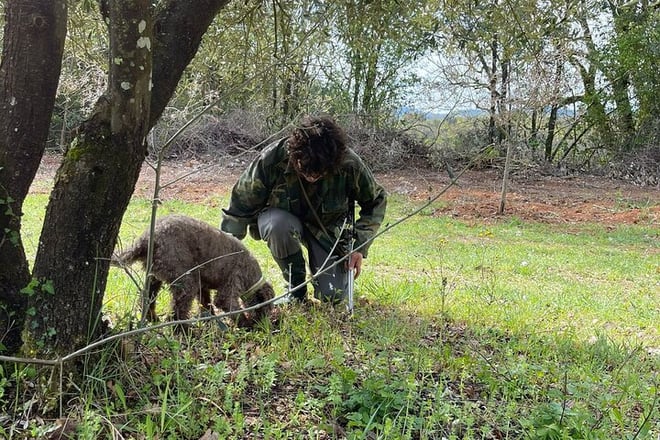 Truffle hunting experience with lunch and Chianti wine tasting - Photo 5