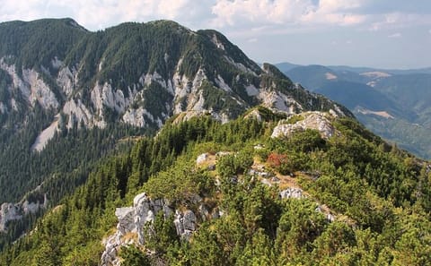 Private Hiking Tour in Piatra Craiului National Park from Brașov