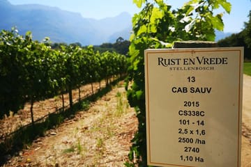 Private Guided Tour of Cape Winelands from Cape Town