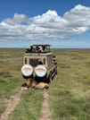 5-Day Tanzania Small Group Safari: Tarangire, Serengeti & Ngorongoro 2