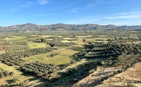 Explore Matala Hippie Caves and Zaros Lake from Heraklion
