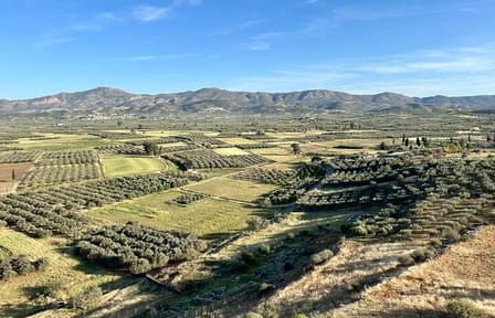 Explore Matala Hippie Caves and Zaros Lake from Heraklion