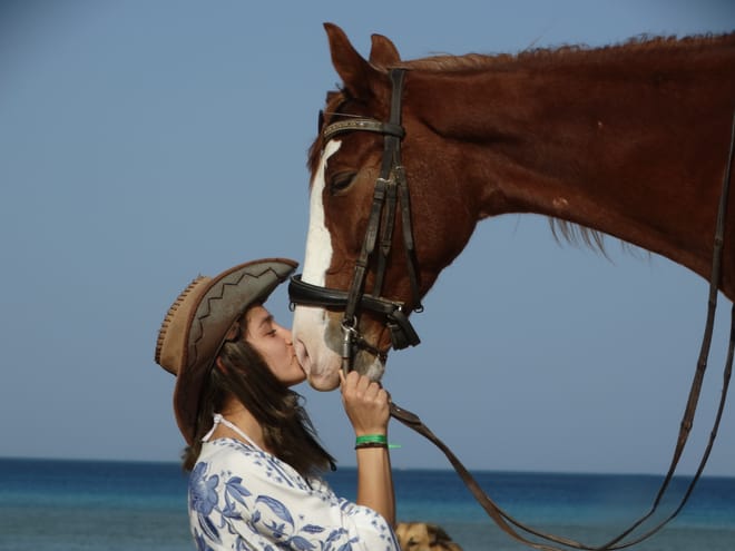 Premium 2 Hours Horse Riding, Desert Trail & Sea Beach - Hurghada photo 5