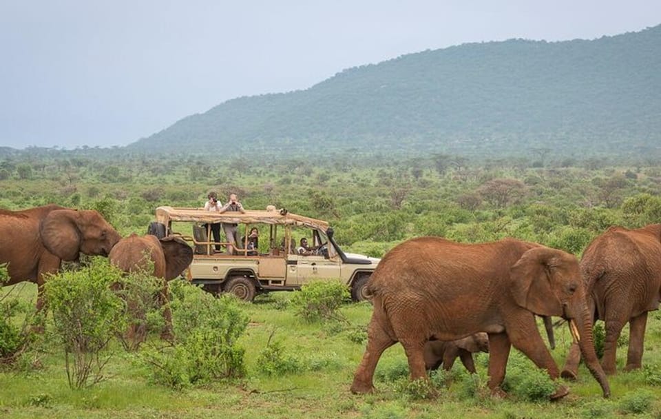 4-Day Safari Adventure in Nairobi and Samburu National Reserve