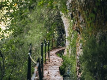 PR1 Vereda Pico do Arieiro (Morning) Hiking Transfer