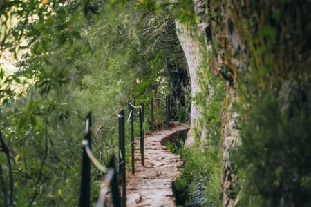 Transfer Queimadas Self-Guided Hike  Caldeirão Verde Levada