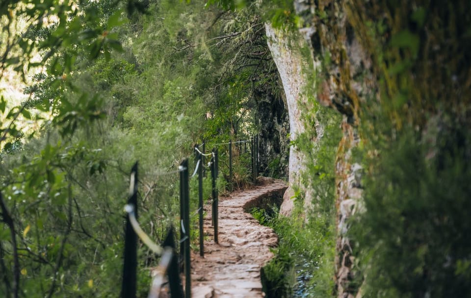 PR9 Queimadas Caldeirão Verde Levada Hiking Transfer