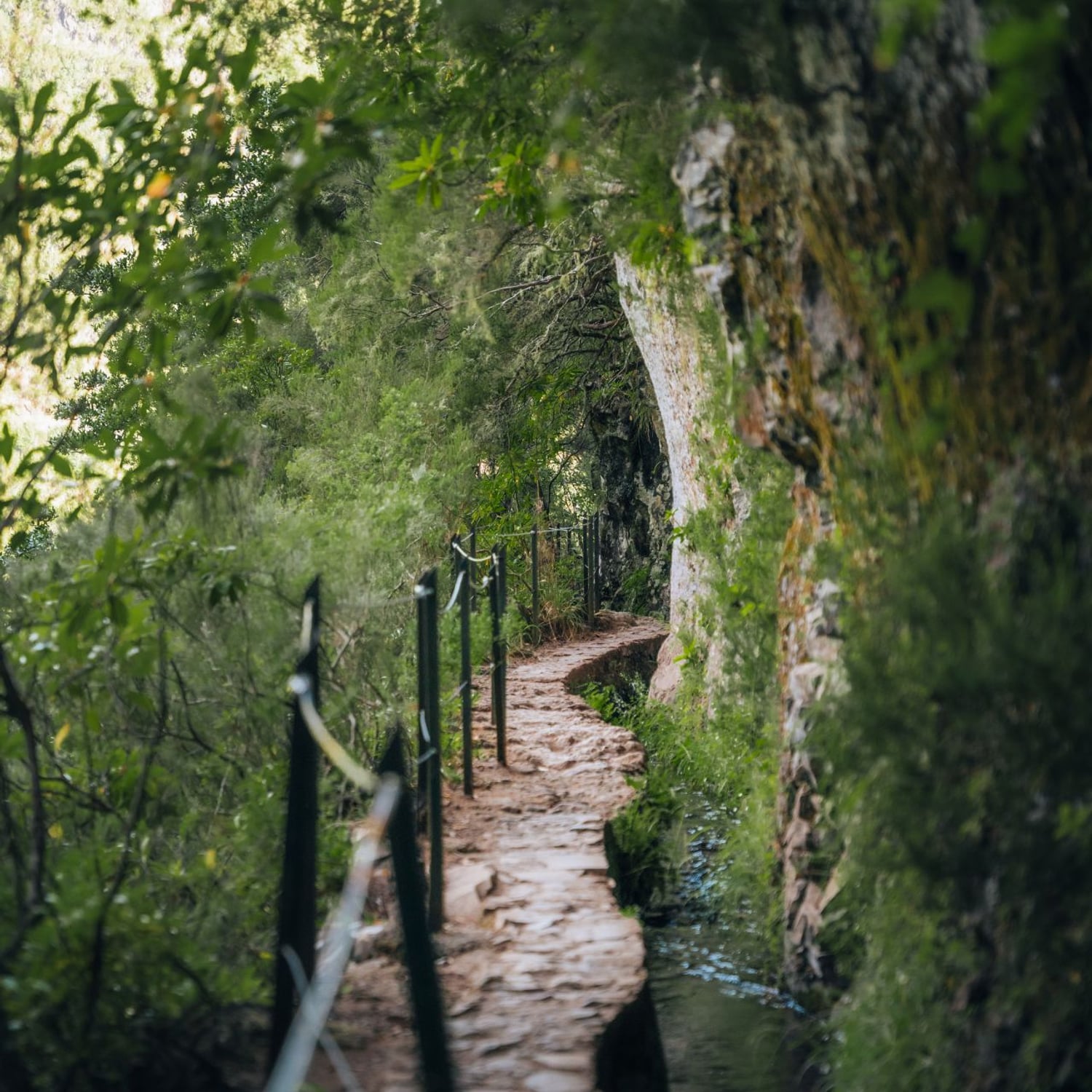 PR9 Queimadas Caldeirão Verde Levada Hiking Transfer