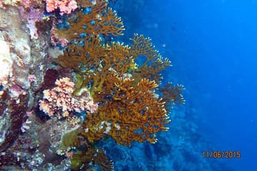 Semi Submarine Underwater Tour in Hurghada, Egypt