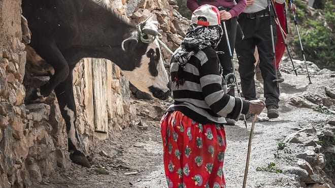 Pure High Atlas at a Local Village | | 1 Day : Private & Luxury 4