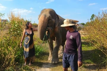 Half-Day Elephant Sanctuary Experience in Siem Reap