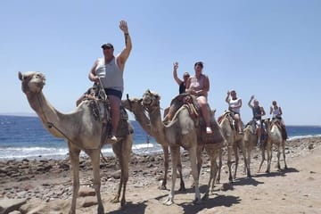 Dahab Day Tour with Snorkeling at 3 Pools National Park