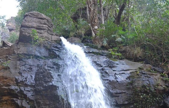 Nagpur to Pench, Satpura & Kanha National Park, Tiger Safari Tour