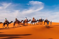 Camel Trekking In Abu Dhabi with Transfer, Fun and More 9
