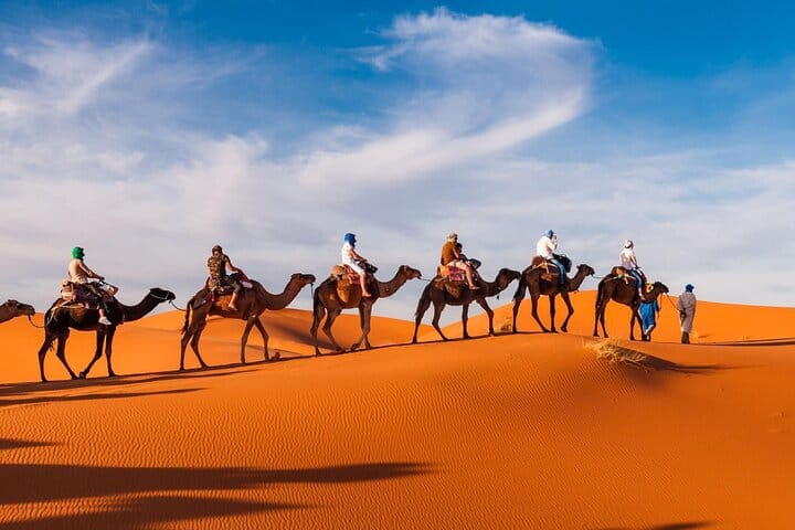 Camel Trekking In Abu Dhabi with Transfer, Fun and More 9