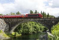 Private guided Bergen to Oslo, Viking Village, Nærøyfjord Cruise & Flåm Railway 6