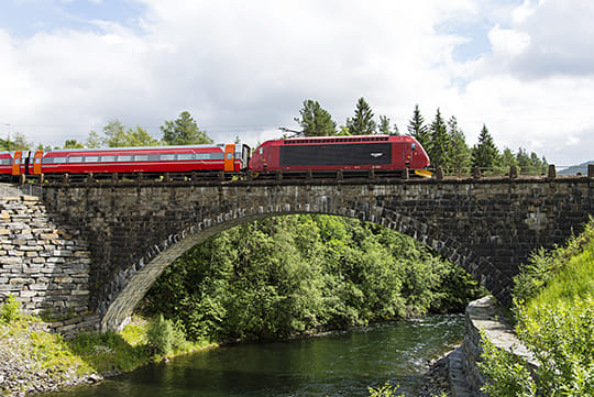Private guided Bergen to Oslo, Viking Village, Nærøyfjord Cruise & Flåm Railway photo 6