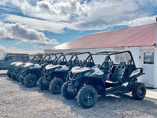Buggy Adventure Mývatn - ATV tour , photo 10